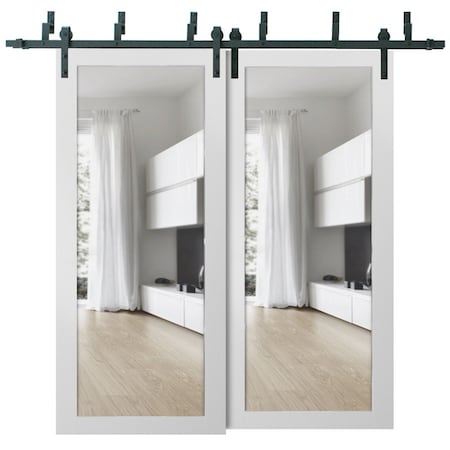 Sartodoors Sliding Closet Clear Glass Barn Bypass Doors, Lucia 2166 White Silk, Sturdy 6.6ft Rails Hardware S LUCIA2166BBB-WS-64