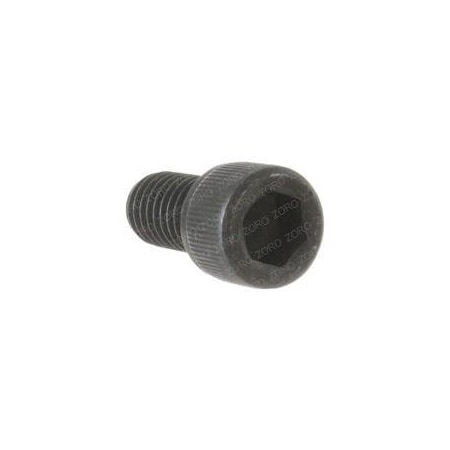 Skyjack REPLACEMENT SCREW 103937