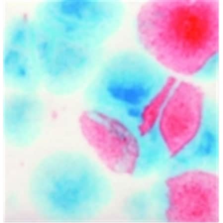 Sax True Flow  Non-Toxic Crystal Magic Glaze - 1 Pt. - Kaboom 411080