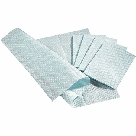 Medline Paper Towels, 2 Ply, Blue NON24356B