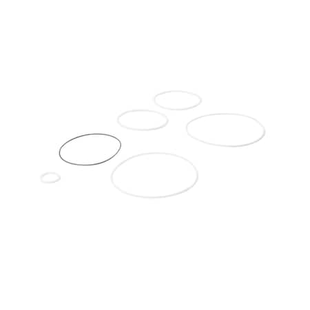 Fill-Rite Teflon Seal Kit SK15PTF