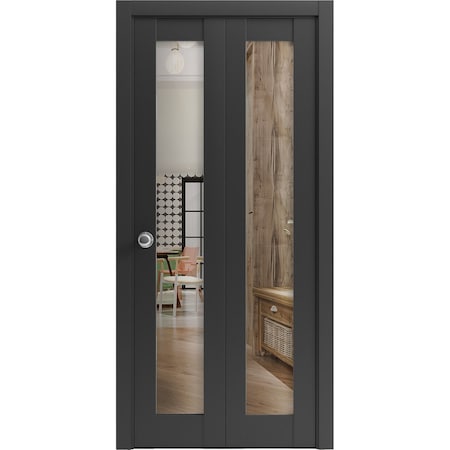 Sartodoors Sliding Closet Bi-fold Doors, Lucia 2166 Matte Black with Clear Glass, Sturdy Tracks Moldings Trim LUCIA2166BF-BLK-64 x 80 (2* 32x80)