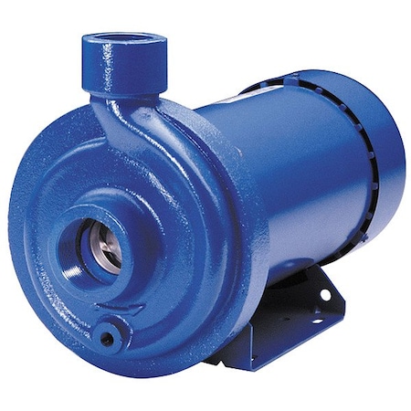 Goulds Water Technology CentrfPmp, 3 hp, SS, 1-1/4", 18-8 125MC1H5E0