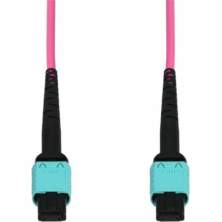 Add-On 30M MPO F/F OM4 MAGENTA FIBER PATCH CBL ADD-MPOMPO-30M5OM4-MA