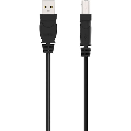 Belkin 6' USB A B Device Cable F3U133B06