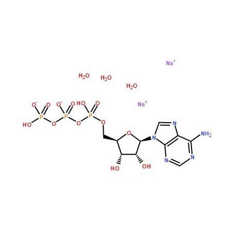 Ak Scientific Adenosine 5'-triphosphate disodium salt trihydrate (1g), CAS 51963-61-2 3421AH-1g