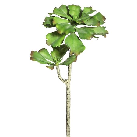 Vickerman 20 in. Aquarius Echeveria FE172901