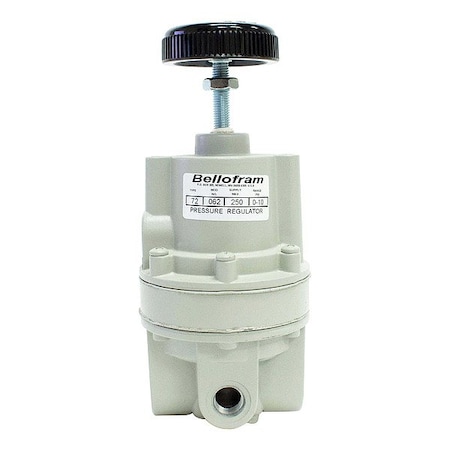 Bellofram Positive Bias Booster, 250 psig, 1.75 lb 961055000