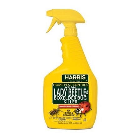 Pf Harris 32OZ Beetle Bug Killer HBXA-32