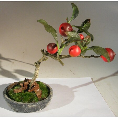 Paisaje Artificial Rosehip Bonsai Tree PA2803675