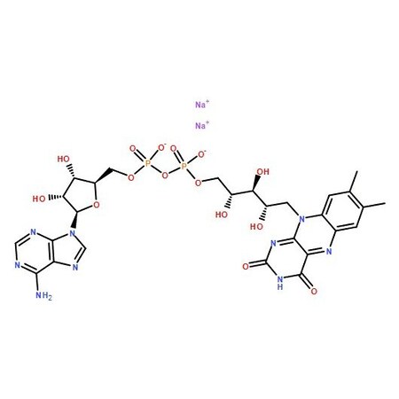 Ak Scientific Flavin adenine dinucleotide disodium salt hydrate (250mg), CAS 84366-81-4 O952-250mg