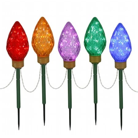 Vickerman 100 Light x 8.5 in. LED Multi C9 5 Piece Stake X106430