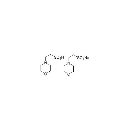 Ak Scientific 2-(4-Morpholino)ethanesulfonic acid hemisodium salt (100g), CAS 117961-21-4 I888-100g