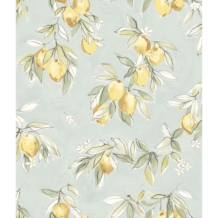 Chesapeake Lemonade Aqua Citrus Wallpaper 4134-72508