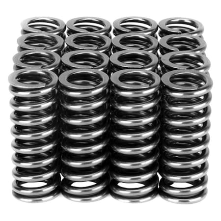 Skunk2 Racing Alpha Series Honda D Series VTEC Valve Spring Set 311-05-1345