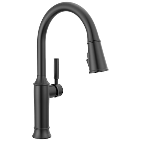 Delta Renaldi Single Handle Pull-Down Kitchen Faucet Matte Black 9184-BL-DST