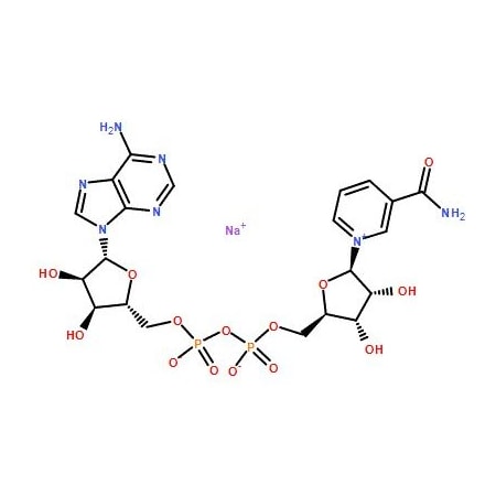 Ak Scientific beta-Nicotinamide adenine dinucleotide sodium (5g), CAS 20111-18-6 X3711-5g