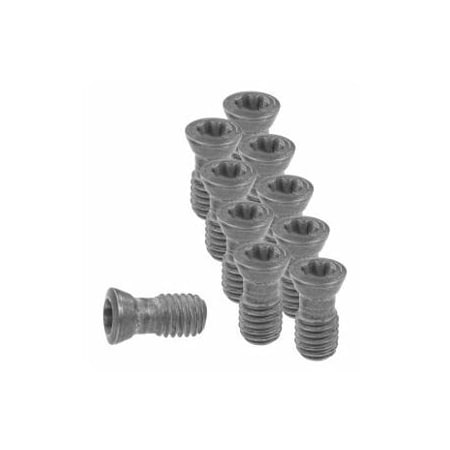 Garant Set of Insert Screws, 10 Pieces 219848