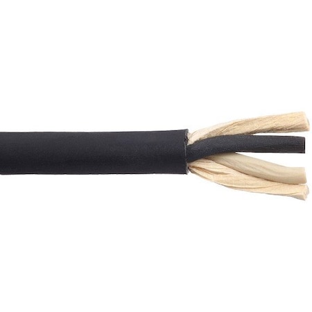 Carol Portable Cord, SJOOW, 18 AWG, 2 C, Black, Thermoset, Stranded, 300 V, Outdoor, 10 ft 01310