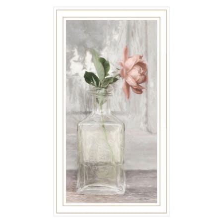 Homeroots Cottage Peach Rose White Framed Print Wall Art 530039
