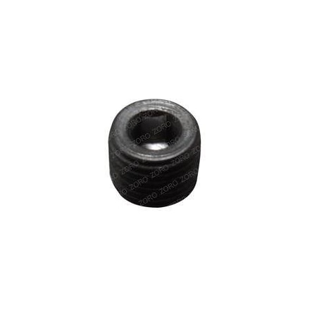 Raymond REPLACEMENT PLUG, PIPE HEX SOCKET 782-419