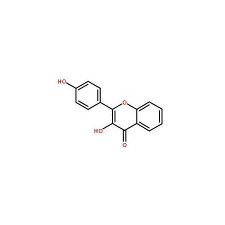 Ak Scientific 3, 4'-Dihydroxyflavone (1g), CAS 14919-49-4 Y1997-1g
