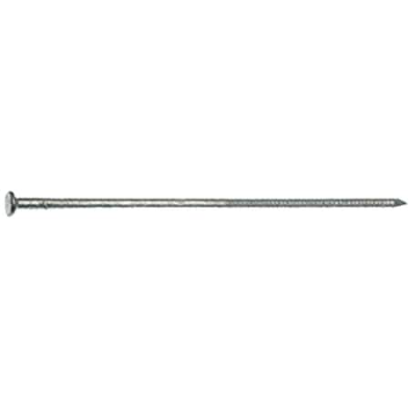 Primus Source Prime Source No. 50 60D Hot Galvanized Tempered Pole Barn Nail 60HGTPO