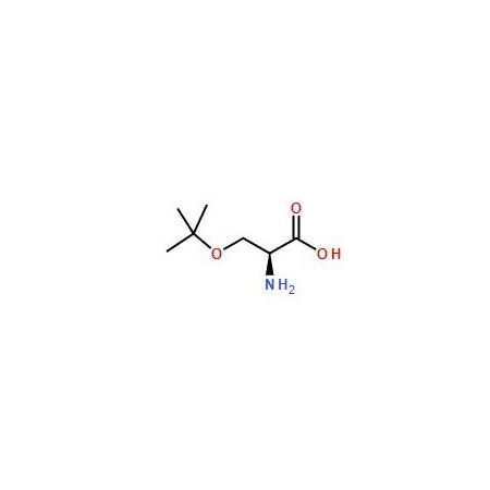 Ak Scientific O-tert-Butyl-L-serine (1g), CAS 18822-58-7 R942-1g