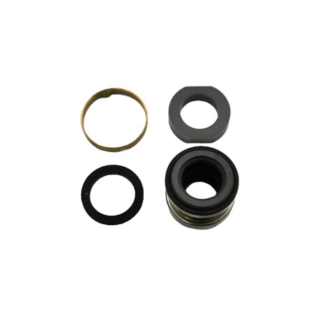 Bell & Gossett SILICON CARBIDE SEAL KIT 185381