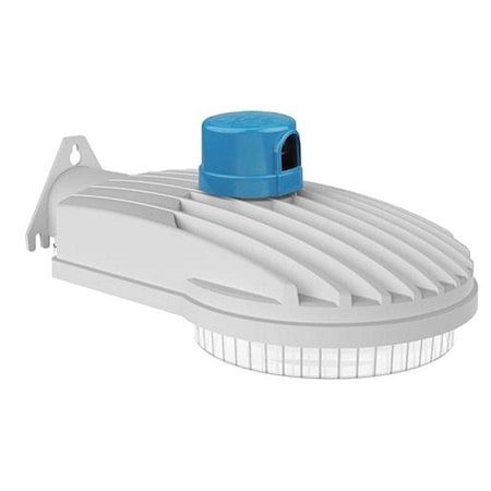 Exo Security Light SGD-60-LSCS-GR