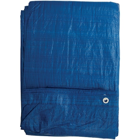 Do It Best Blue Woven 20 Ft. x 30 Ft. General Purpose Tarp 767904