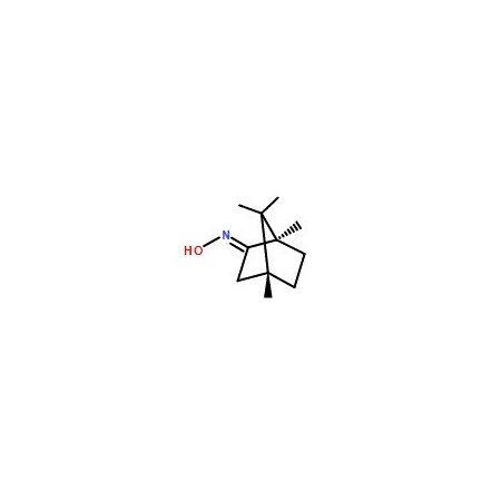 Ak Scientific (1R)-Camphor oxime (1g), CAS 2792-42-9 5744AF-1g