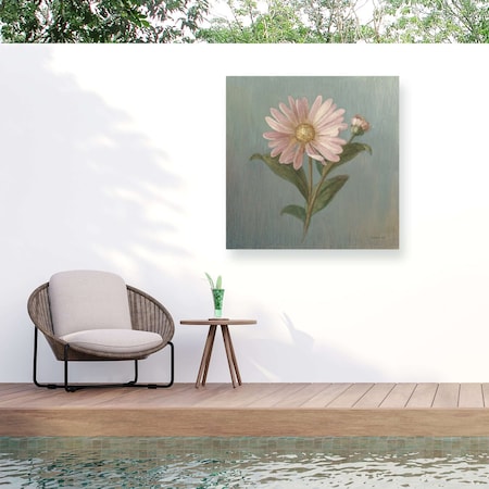 Trademark Fine Art Outdoor Canvas Art Danhui Nai Cottage Aster Wall Art for Patios, or Gardens WAP33503-OC2424WR