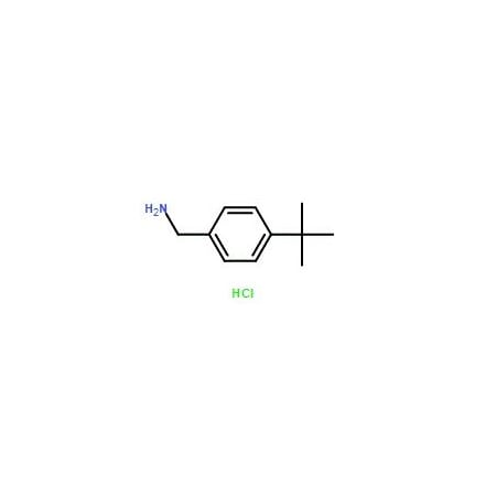 Ak Scientific (4-tert-Butylphenyl)methanamine hydrochloride (5g), CAS 59528-30-2 4310AH-5g