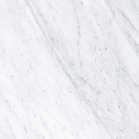 Apollo Tile Regalia 24x24 in. White Matte Color Body Porcelain Marble-look Vein Large Tile (15.5 sq ft/case) 4PK APLVEL88BIA2424