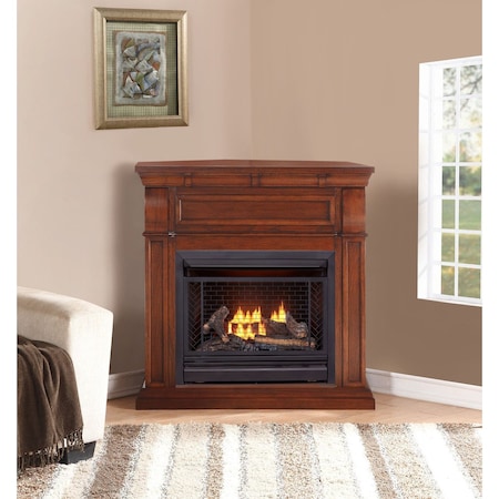Bluegrass Living Vent Free Natural Gas Fireplace System, 26,000 BTU, Remote Control, Chestnut Oak Finish B300RTN-1-CO