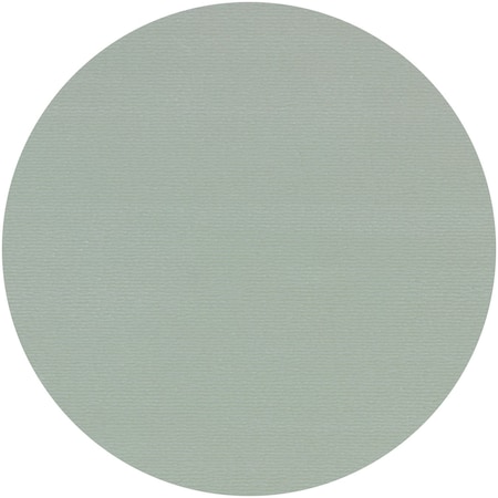 Dynabrade Hook Face Disc, 2000 Abrasive Grit, PK50 79823