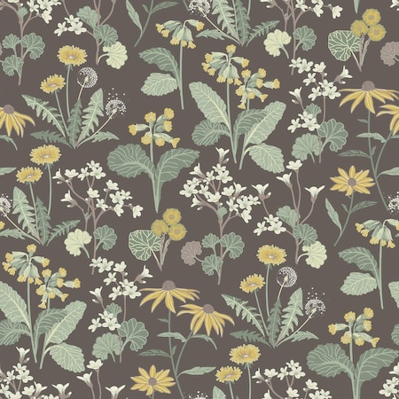 A-Street Prints Magdalena Charcoal Dandelion Wallpaper 4080-92133