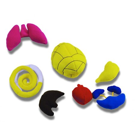 Roylco Whats Inside Me Doll Replacement Pack R59259