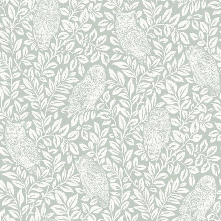 Chesapeake Parliament Teal Owl Wallpaper 3115-12414