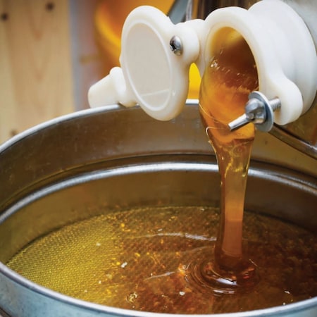 Harvest Lane Honey 5 Gal Plastic Honey Bucket with Gate HONEYBCKT-102