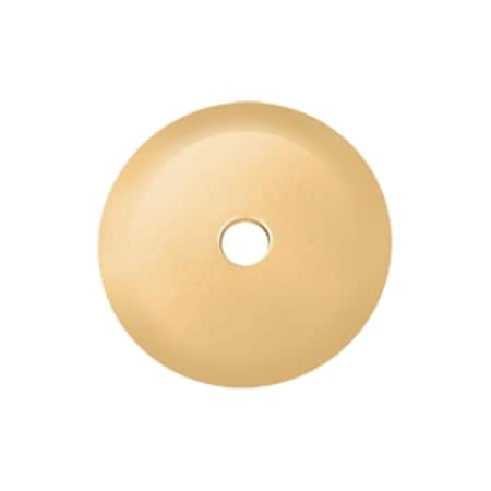 Patioplus 1.25 in. Diameter Base Plate for Knobs, Lifetime PA944498