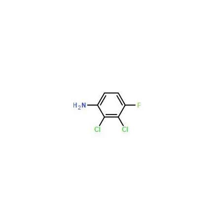 Ak Scientific 2, 3-Dichloro-4-fluoroaniline (10g), CAS 36556-52-2 4645AB-10g