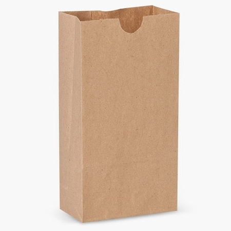 Nashville Wraps Recycled Brown Kraft Gift Sack, 2 lb Bag 4.25x2.25x8, 500PK B2KRR