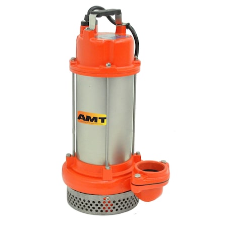 Amt Pump 3-in. BST Cast Iron Submersible w/ 1HP 1PH 220V 50Hz Motor 5986-95B