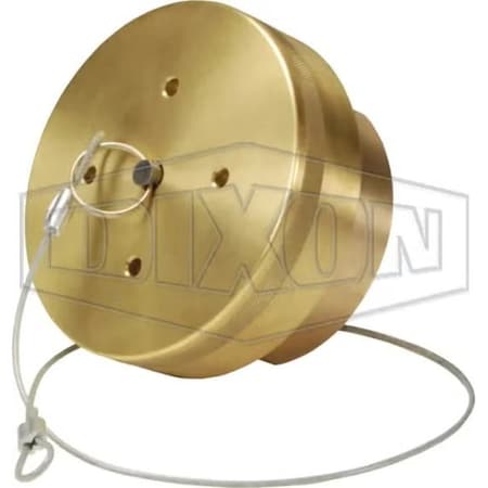 Dixon LNG30 FIXED END WITH 3 in FEMALE NPT/ CAP LNG30BRFE