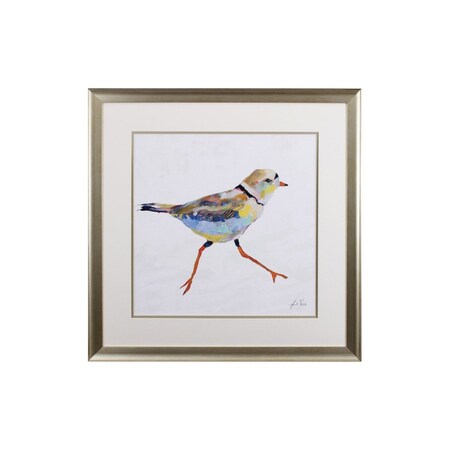 Set of Two Colorful Beach Birds Wall Art, 2PK