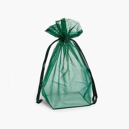 Nashville Wraps Hunter Square Gusseted Sheer Bag, 4x4x10, 10PK GHB441HU