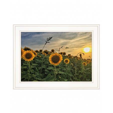 Homeroots Midwest Livin I 1 White Framed Print Wall Art 407613