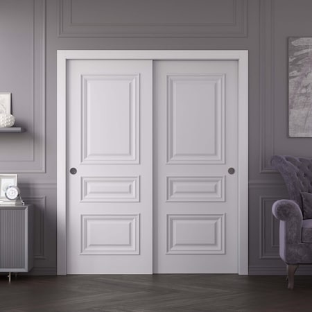 Sartodoors Sliding Closet Bypass Doors 64x84 inches White Solid Core Modern Interior ROYAL9833DBD-EMAL-6484